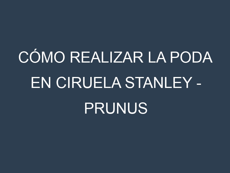 Cómo Realizar la Poda en Ciruela Stanley – Prunus domestica. Técnicas y Poda de formación.