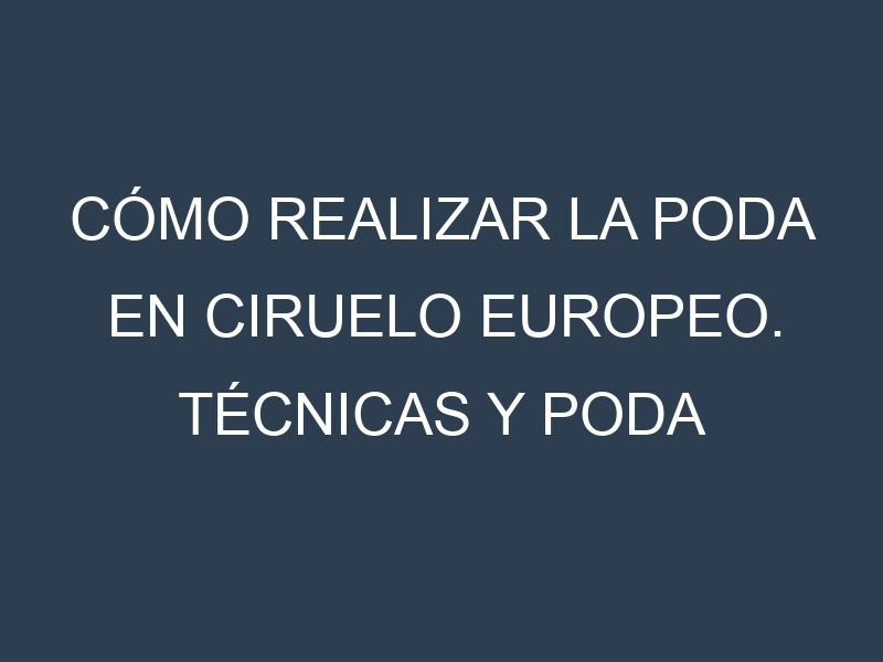 Cómo Realizar la Poda en Ciruelo europeo. Técnicas y Poda de formación.