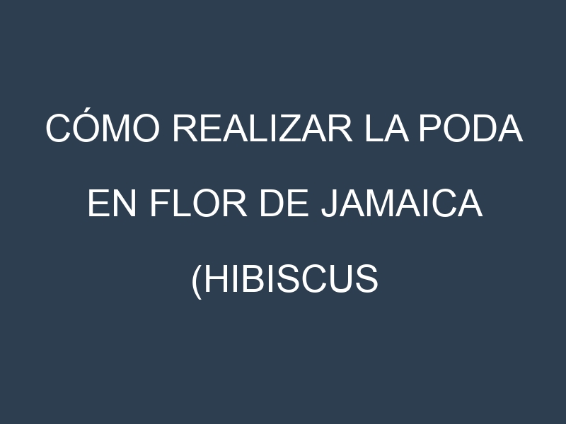 Cómo Realizar la Poda en Flor de Jamaica (Hibiscus sabdariffa). Técnicas y Poda de formación.