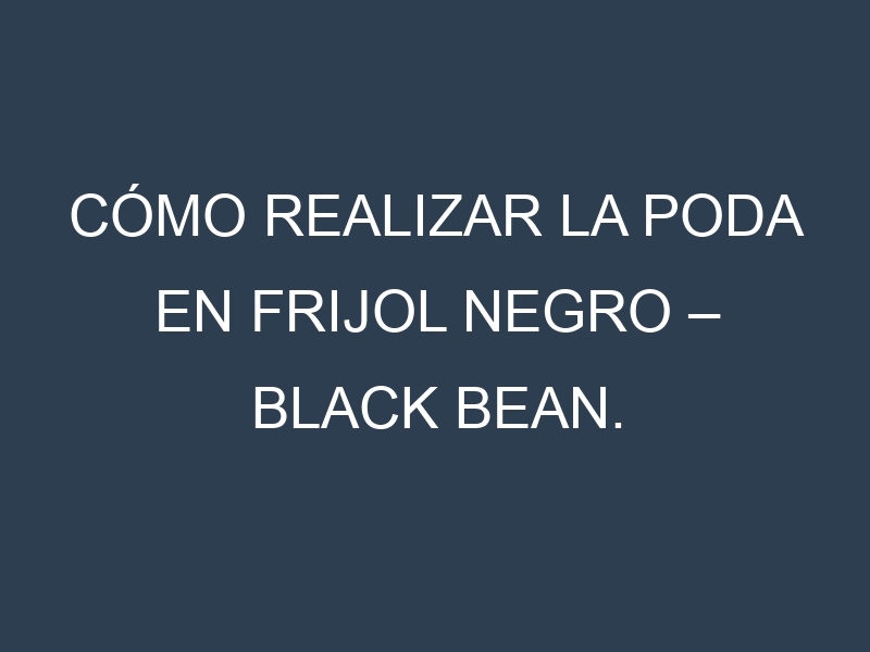 Cómo Realizar la Poda en Frijol negro – Black bean. Técnicas y Poda de formación.