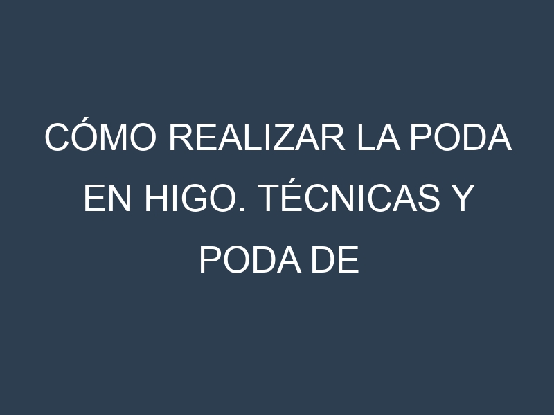 Cómo Realizar la Poda en Higo. Técnicas y Poda de formación.