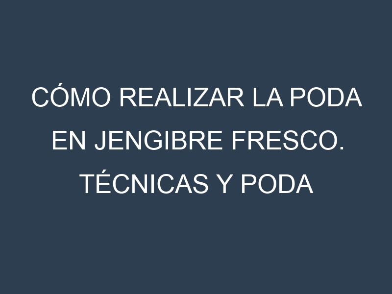 Cómo Realizar la Poda en Jengibre fresco. Técnicas y Poda de formación.