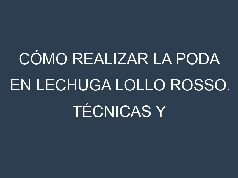 Cómo Realizar la Poda en Lechuga lollo rosso. Técnicas y Poda de formación.