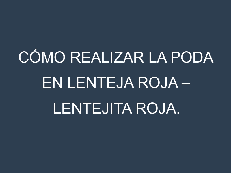Cómo Realizar la Poda en Lenteja roja – Lentejita roja. Técnicas y Poda de formación.