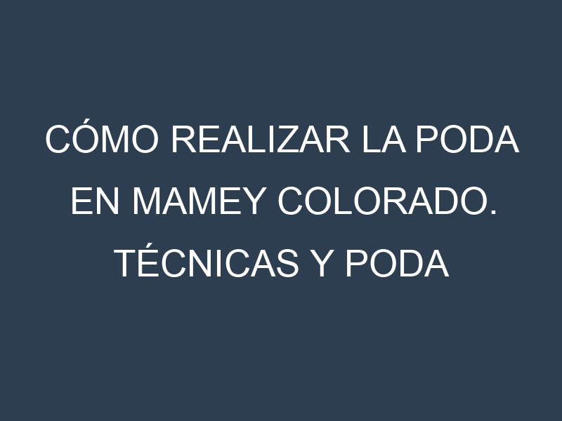 Cómo Realizar la Poda en Mamey colorado. Técnicas y Poda de formación.