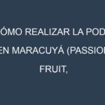 Cómo Realizar la Poda en Maracuyá (Passion fruit, granadilla). Técnicas y Poda de formación.