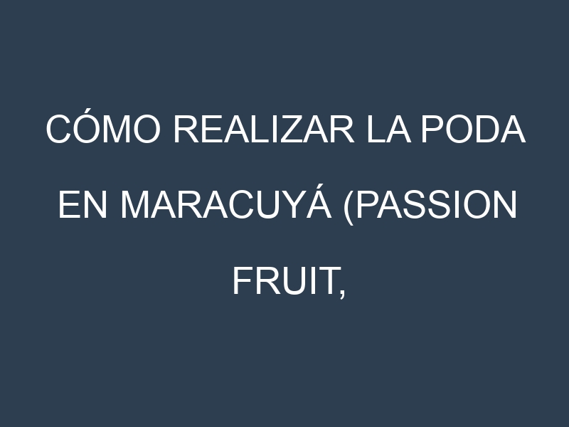 Cómo Realizar la Poda en Maracuyá (Passion fruit, granadilla). Técnicas y Poda de formación.