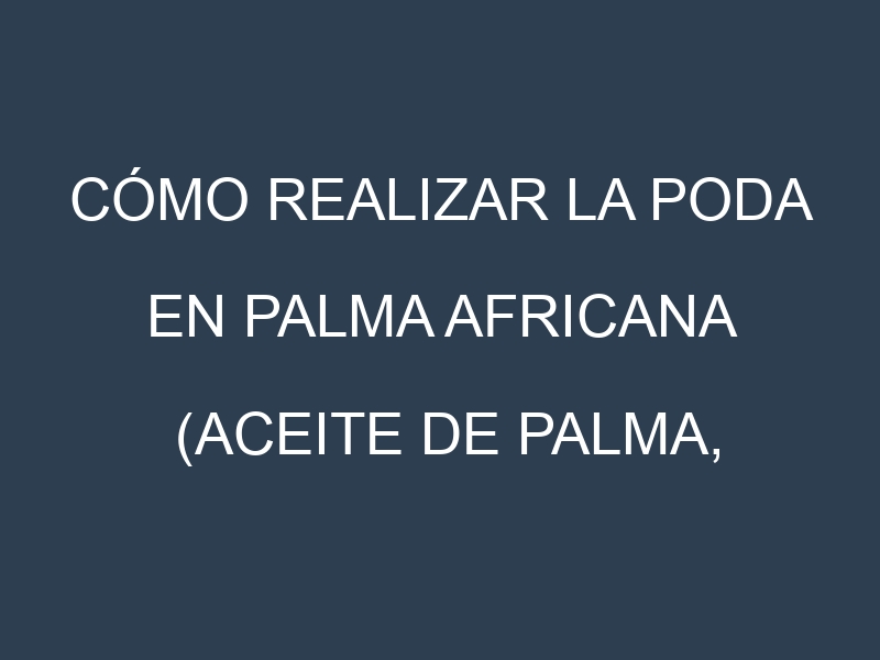Cómo Realizar la Poda en Palma africana (Aceite de palma, oil palm). Técnicas y Poda de formación.