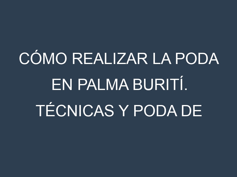 Cómo Realizar la Poda en Palma burití. Técnicas y Poda de formación.