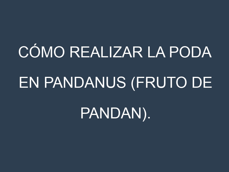 Cómo Realizar la Poda en Pandanus (fruto de pandan). Técnicas y Poda de formación.