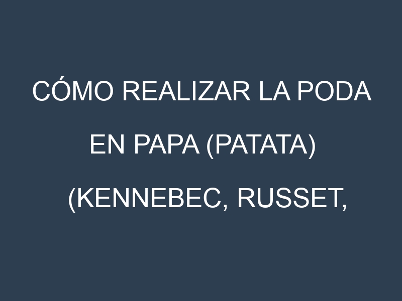 Cómo Realizar la Poda en Papa (patata) (Kennebec, Russet, Yukon Gold, Désirée, Monalisa). Técnicas y Poda de formación.