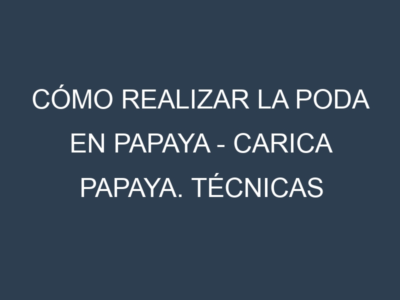 Cómo Realizar la Poda en Papaya – Carica papaya. Técnicas y Poda de formación.