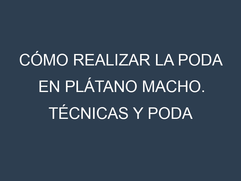 Cómo Realizar la Poda en Plátano macho. Técnicas y Poda de formación.