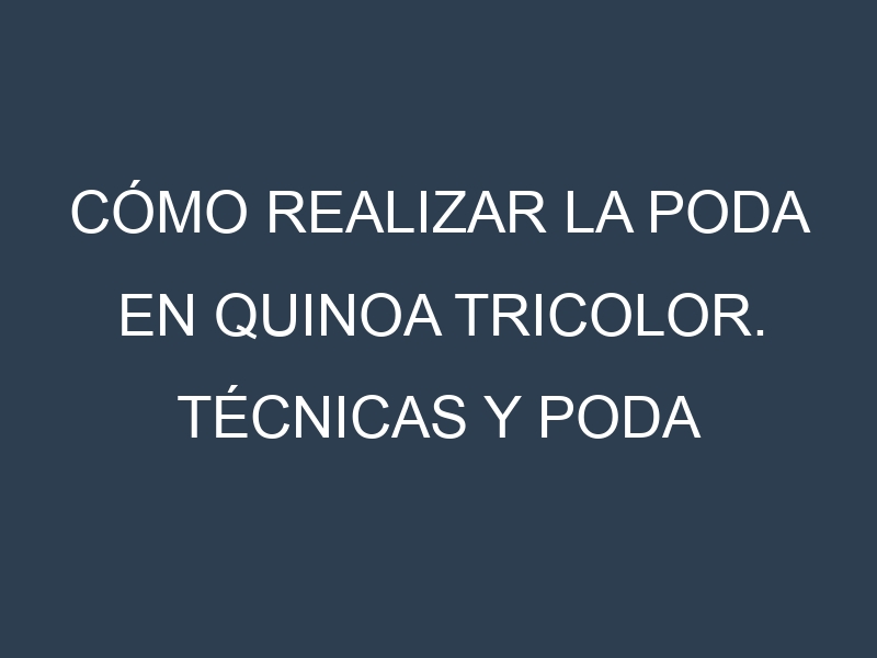 Cómo Realizar la Poda en Quinoa tricolor. Técnicas y Poda de formación.