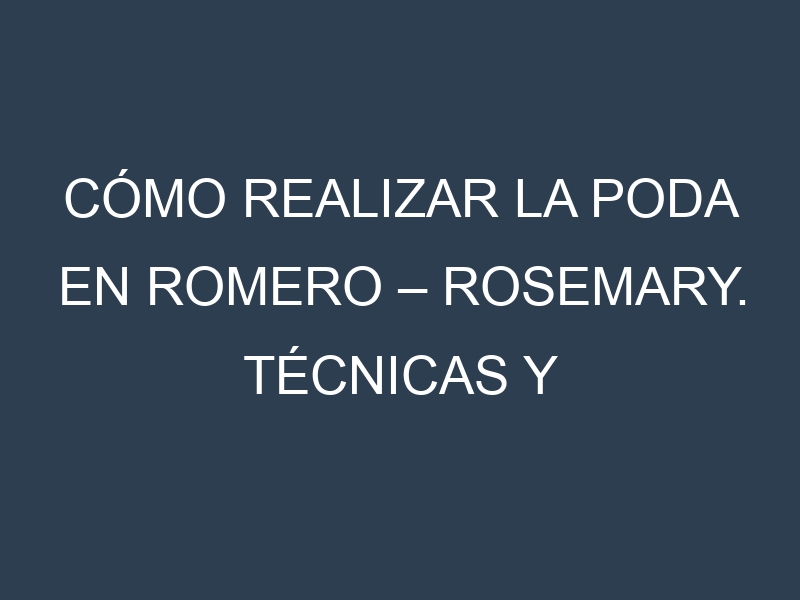 Cómo Realizar la Poda en Romero – Rosemary. Técnicas y Poda de formación.
