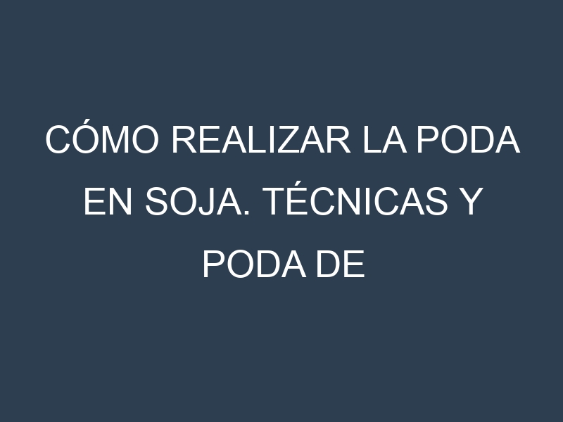 Cómo Realizar la Poda en Soja. Técnicas y Poda de formación.