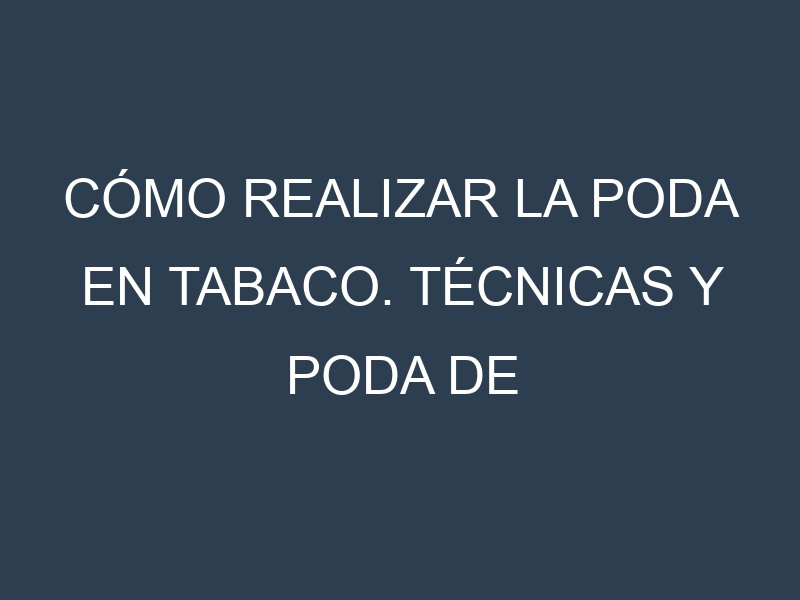 Cómo Realizar la Poda en Tabaco. Técnicas y Poda de formación.
