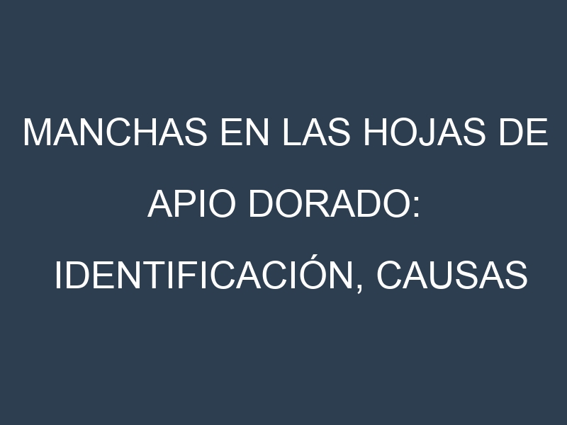 Manchas en las hojas de Apio dorado: Identificación, Causas y Estrategias de Control Efectivo