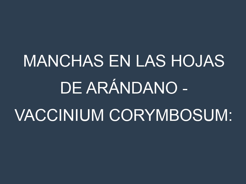 Manchas en las hojas de Arándano – Vaccinium corymbosum: Identificación, Causas y Estrategias de Control Efectivo