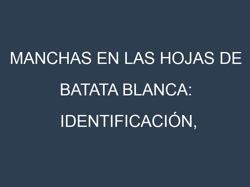 Manchas en las hojas de Batata blanca: Identificación, Causas y Estrategias de Control Efectivo