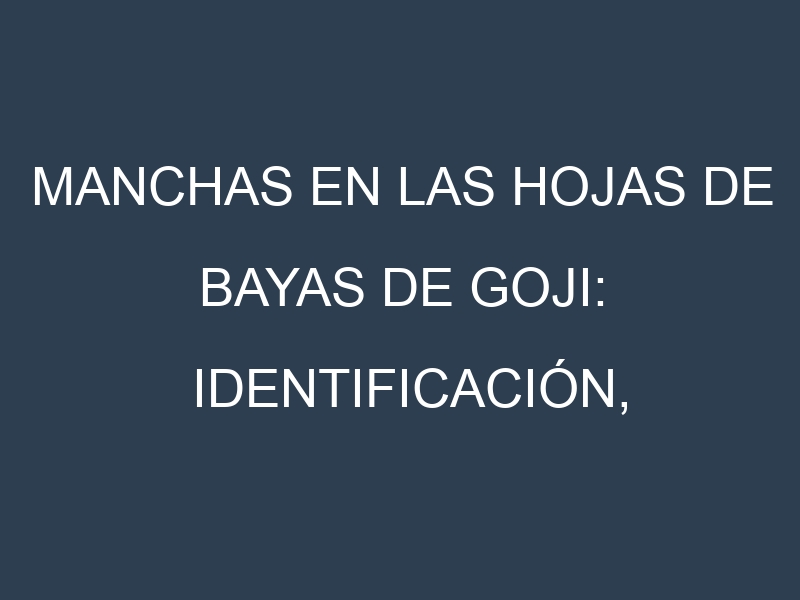Manchas en las hojas de Bayas de Goji: Identificación, Causas y Estrategias de Control Efectivo