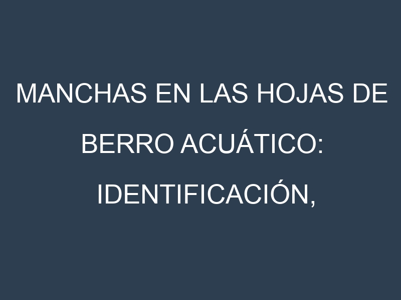 Manchas en las hojas de Berro acuático: Identificación, Causas y Estrategias de Control Efectivo