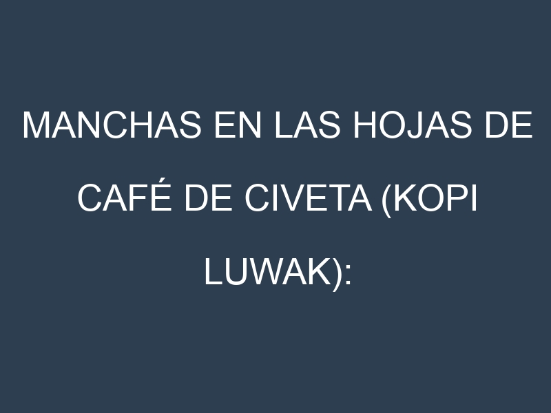 Manchas en las hojas de Café de civeta (kopi luwak): Identificación, Causas y Estrategias de Control Efectivo