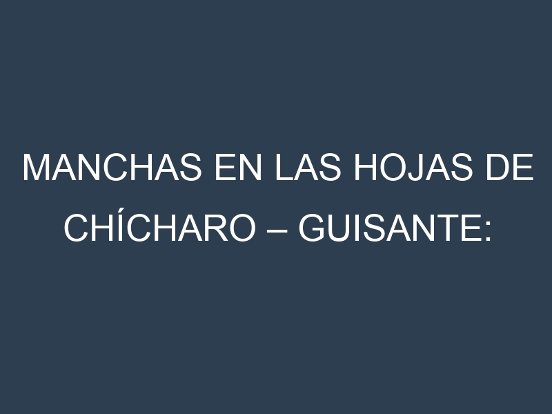Manchas en las hojas de Chícharo – Guisante: Identificación, Causas y Estrategias de Control Efectivo
