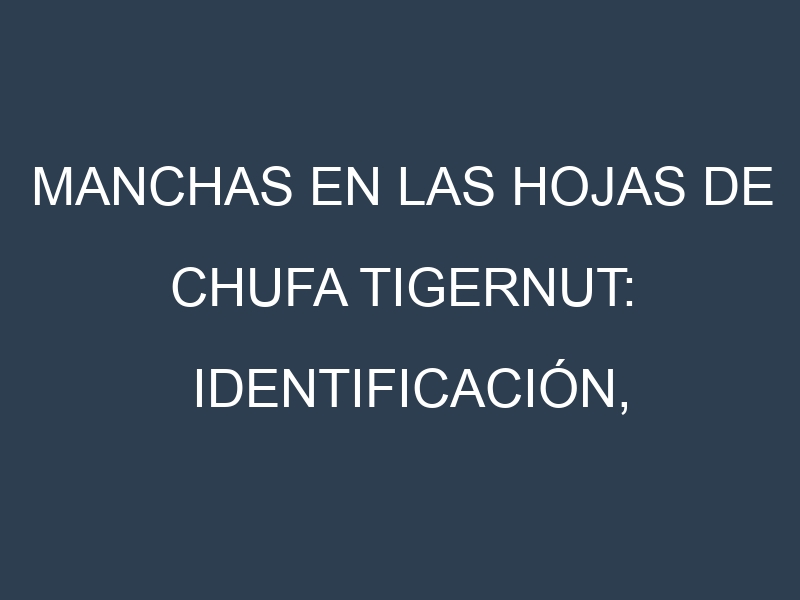 Manchas en las hojas de Chufa tigernut: Identificación, Causas y Estrategias de Control Efectivo