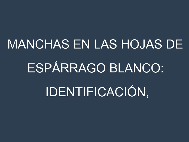 Manchas en las hojas de Espárrago blanco: Identificación, Causas y Estrategias de Control Efectivo
