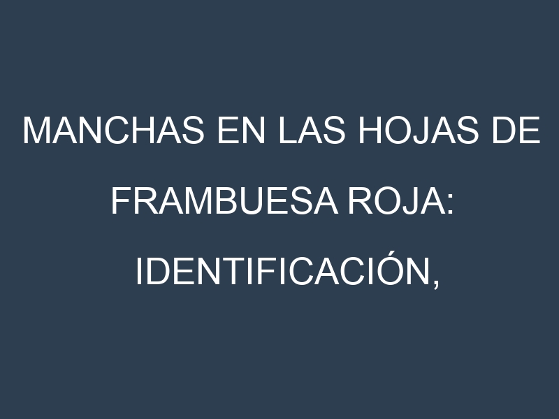 Manchas en las hojas de Frambuesa roja: Identificación, Causas y Estrategias de Control Efectivo
