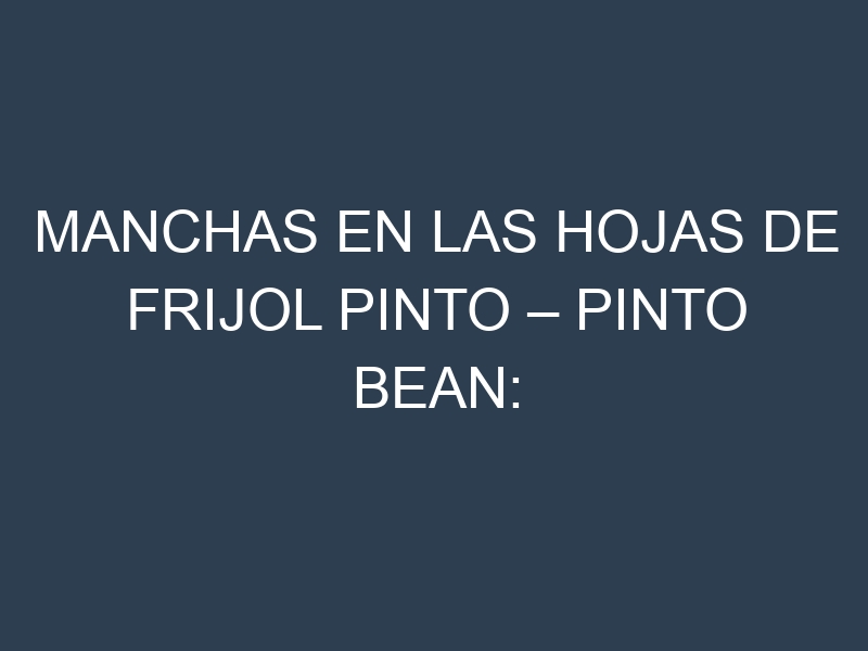Manchas en las hojas de Frijol pinto – Pinto bean: Identificación, Causas y Estrategias de Control Efectivo