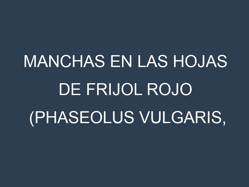 Manchas en las hojas de Frijol rojo (Phaseolus vulgaris, kidney bean): Identificación, Causas y Estrategias de Control Efectivo