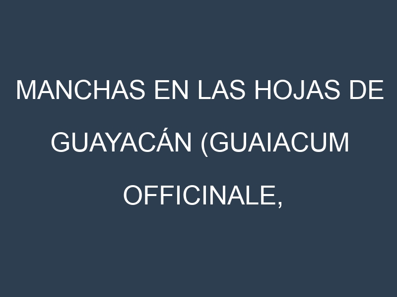 Manchas en las hojas de Guayacán (Guaiacum officinale, lignum vitae): Identificación, Causas y Estrategias de Control Efectivo