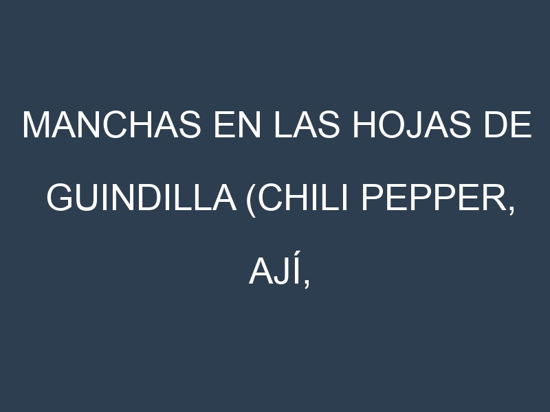 Manchas en las hojas de Guindilla (Chili pepper, ají, chile): Identificación, Causas y Estrategias de Control Efectivo