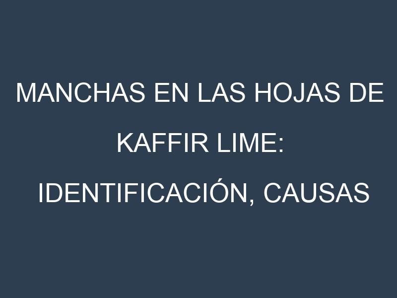 Manchas en las hojas de Kaffir lime: Identificación, Causas y Estrategias de Control Efectivo