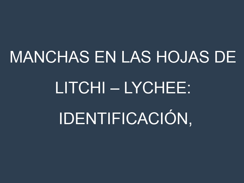 Manchas en las hojas de Litchi – Lychee: Identificación, Causas y Estrategias de Control Efectivo