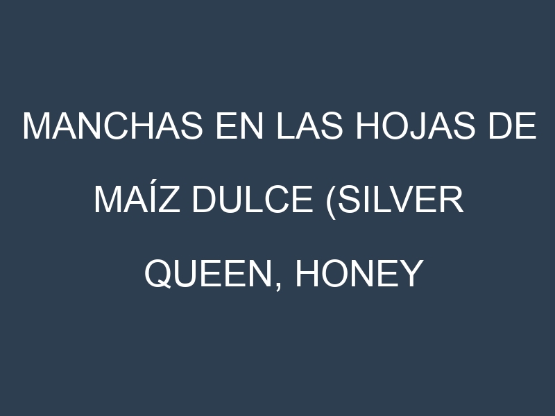 Manchas en las hojas de Maíz dulce (Silver Queen, Honey Select, Golden Bantam, Peaches and Cream, Illini Xtra Sweet): Identificación, Causas y Estrategias de Control Efectivo