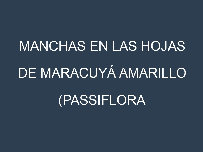 Manchas en las hojas de Maracuyá amarillo (Passiflora edulis f. flavicarpa, P. quadrangularis, Sweet Granadilla, Banana Passionfruit, Giant Granadilla): Identificación, Causas y Estrategias de Control Efectivo