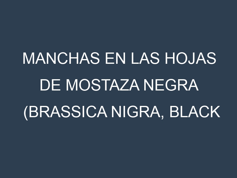 Manchas en las hojas de Mostaza negra (Brassica nigra, black mustard): Identificación, Causas y Estrategias de Control Efectivo