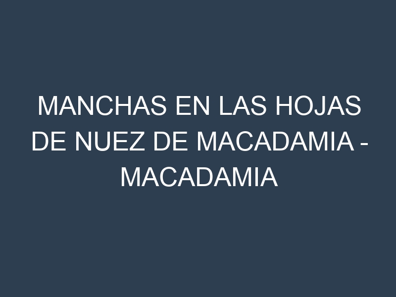 Manchas en las hojas de Nuez de macadamia – Macadamia integrifolia: Identificación, Causas y Estrategias de Control Efectivo