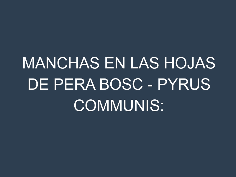 Manchas en las hojas de Pera Bosc – Pyrus communis: Identificación, Causas y Estrategias de Control Efectivo