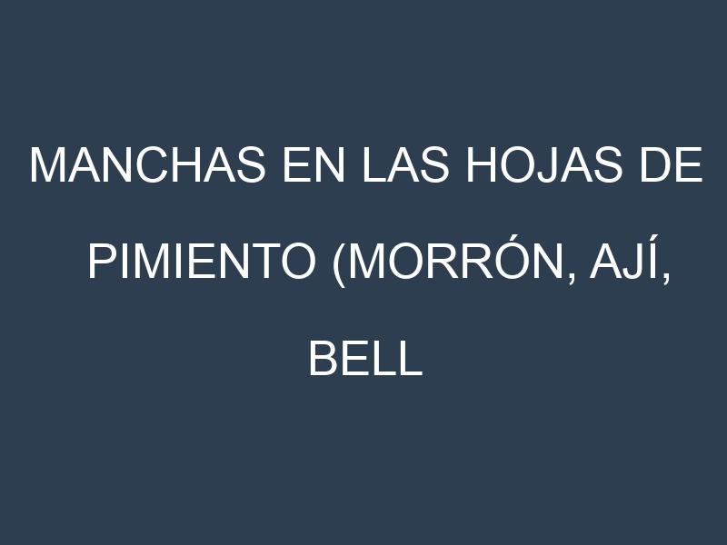 Manchas en las hojas de Pimiento (Morrón, ají, bell pepper): Identificación, Causas y Estrategias de Control Efectivo