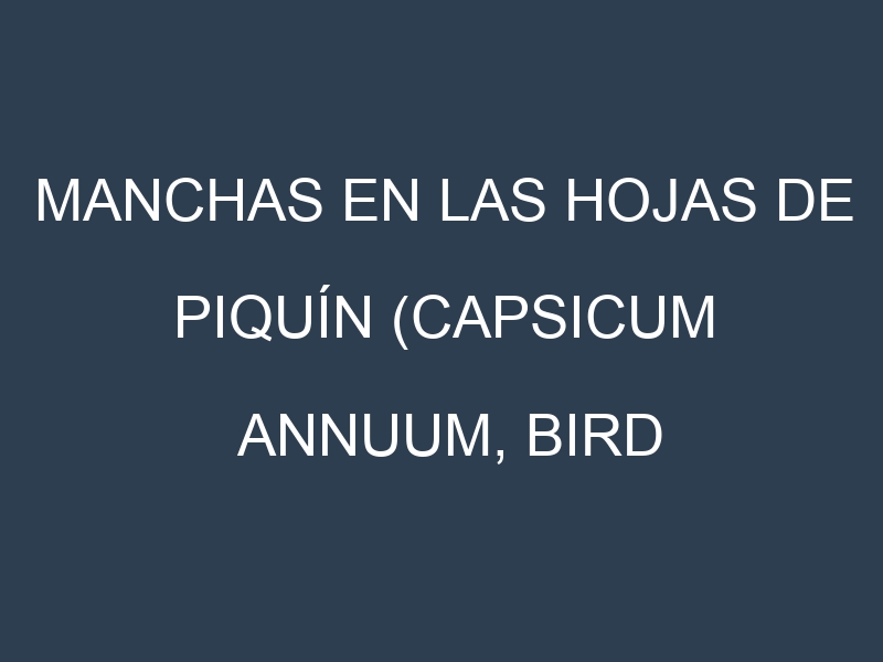 Manchas en las hojas de Piquín (Capsicum annuum, bird pepper): Identificación, Causas y Estrategias de Control Efectivo