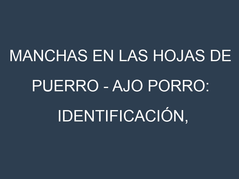 Manchas en las hojas de Puerro – Ajo porro: Identificación, Causas y Estrategias de Control Efectivo