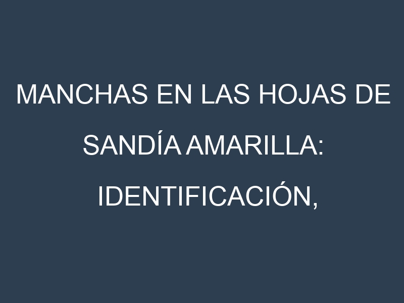 Manchas en las hojas de Sandía amarilla: Identificación, Causas y Estrategias de Control Efectivo