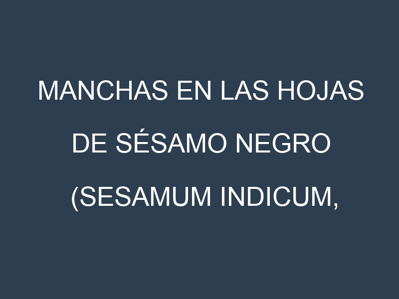Manchas en las hojas de Sésamo negro (Sesamum indicum, black sesame): Identificación, Causas y Estrategias de Control Efectivo