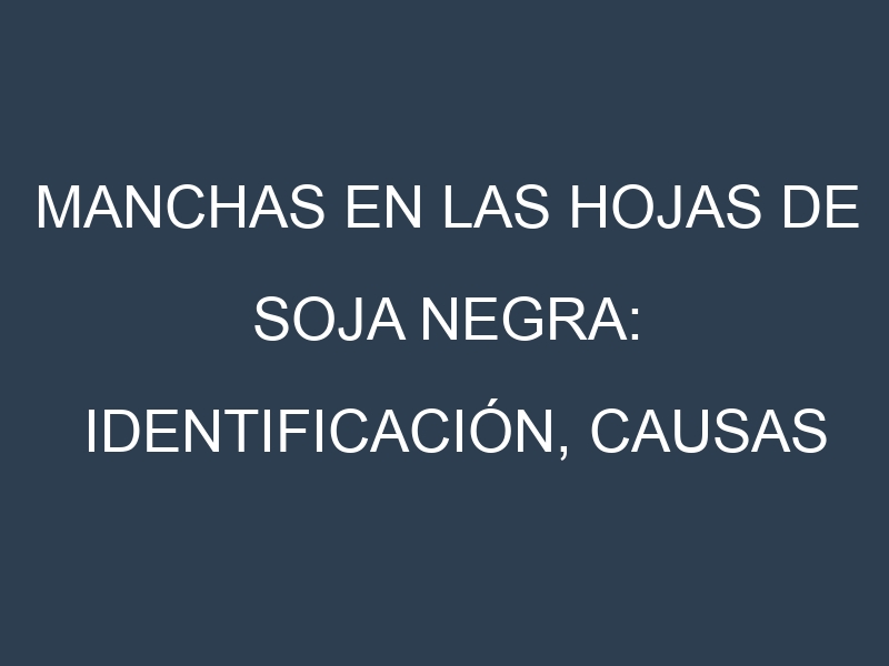 Manchas en las hojas de Soja negra: Identificación, Causas y Estrategias de Control Efectivo