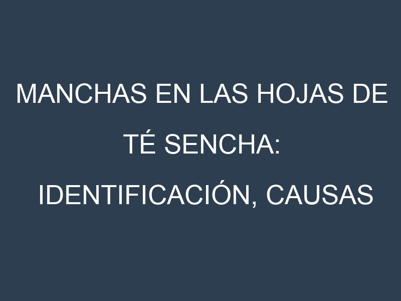 Manchas en las hojas de Té sencha: Identificación, Causas y Estrategias de Control Efectivo