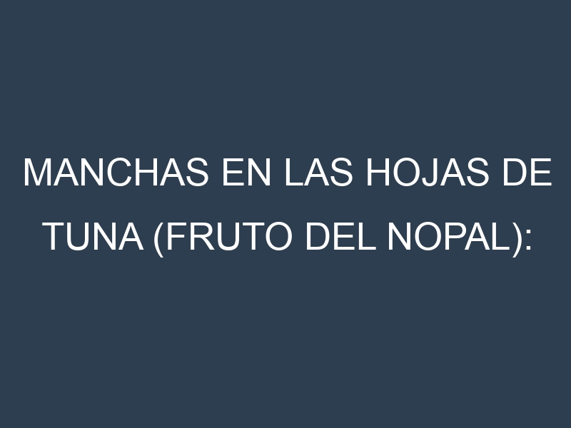 Manchas en las hojas de Tuna (fruto del nopal): Identificación, Causas y Estrategias de Control Efectivo